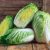 Matsushima (Barrel Head Type) (Brassica rapa Pekinensis)