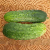 Homemade Pickles Cucumber, Pickling  (Cucumis sativus)