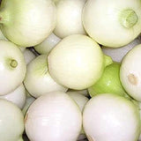 Southport White Globe Onion, Bunching (Allium fistulosum)