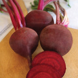 Ruby Queen Beet (Beta vulgaris)