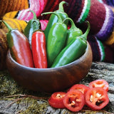 Jalapeno Early Pepper, HOT (Capsicum annuum)