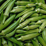 Clemson Spineless Okra (Abelmoschus esculentus)