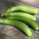 Louisiana Long Green Eggplant (Solanum melongena)