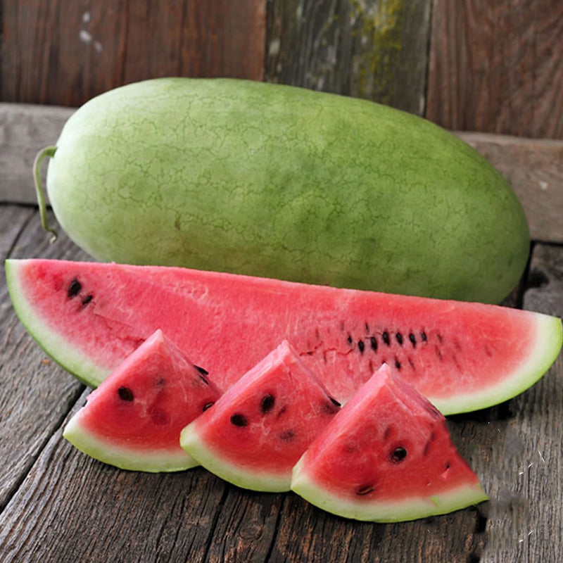 Charleston Gray Watermelon (Citrullus lanatus)