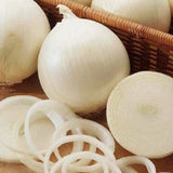 White Sweet Spanish Onion, Long-Day (Allium cepa)