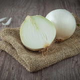 White Sweet Spanish Onion, Long-Day (Allium cepa)