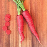 Atomic Red Carrot (Daucus carota)